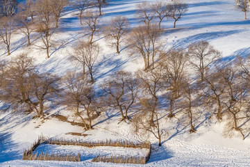 草原坝上的雪景