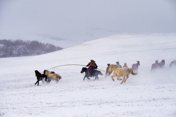 套马 雪原