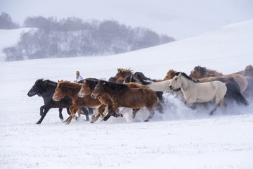 万马奔腾 雪原