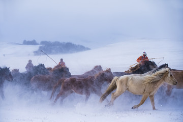 万马奔腾 雪原