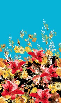 花朵 定位 有分層