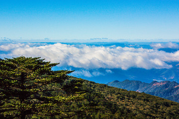 轿子雪山景区