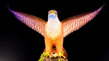 马来西亚兰卡威飞鹰
