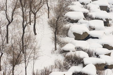 雪景