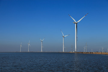 风力发电场 湿地风力发电