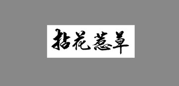 拈花惹草