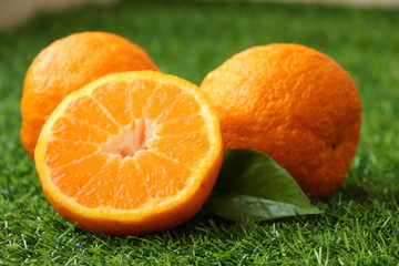 丑橘高清图