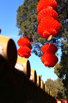 春节蓝天宫墙红灯笼