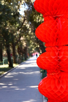 春节小路挂满红灯笼 北京地坛