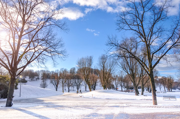 冬季公园湖泊雪景