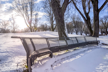 冬季公园湖泊雪景