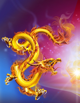 五爪金龍