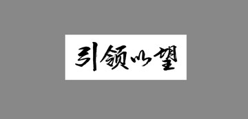 引領(lǐng)以望