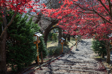 日本富士山 神社 小道