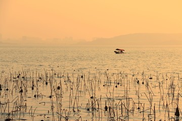 东湖绿道