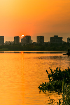 玄武湖日落美景