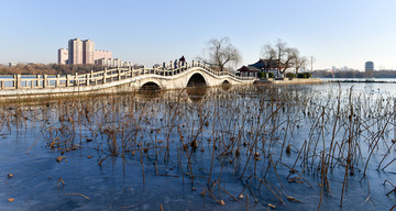 大明湖