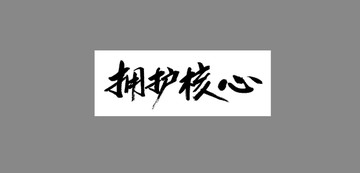 擁護核心
