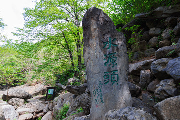 北京植物園水源頭