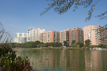 晋江城市风景