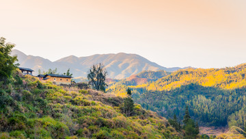 东水山村