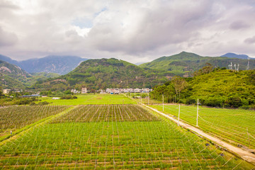 村庄田间地头