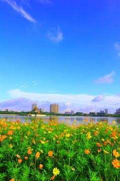 山水风景