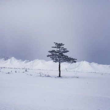 梦幻雪乡