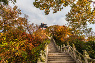 南京阅江楼秋景