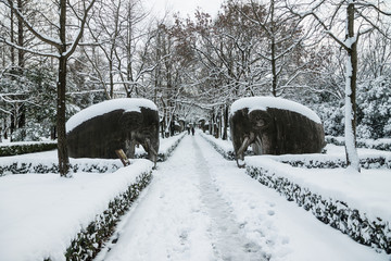 南京明孝陵石像路雪景