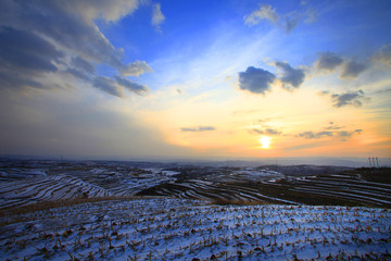 雪后的田野