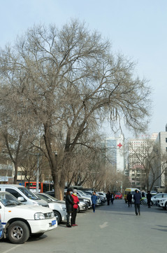 西宁冬天街景