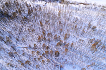 冬季树林雪景 航拍