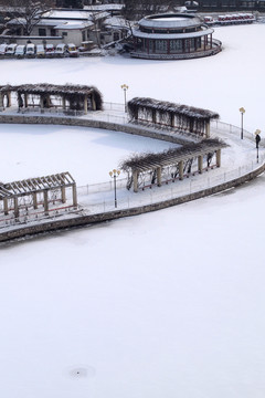 雪景 冬季 寒冷