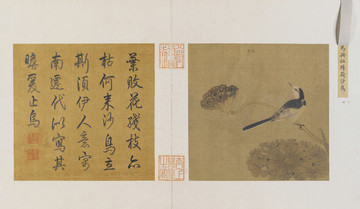 宋人畫(huà)疏荷沙鳥(niǎo)圖頁(yè)