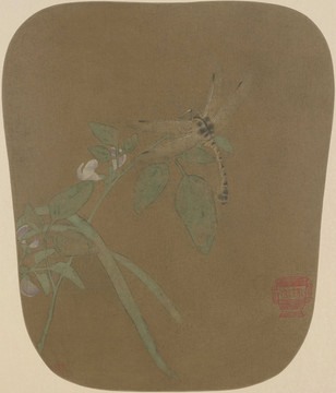 宋人畫豆莢蜻蜓圖絹本
