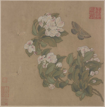 宋人畫海棠蛺蝶圖