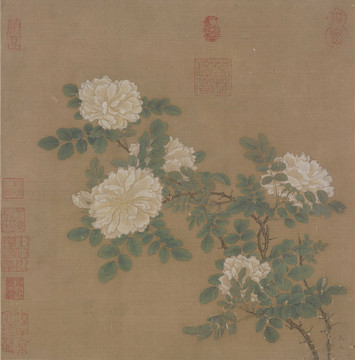 馬遠(yuǎn) 白薔薇圖頁(yè)