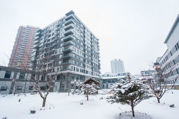 江户城雪景