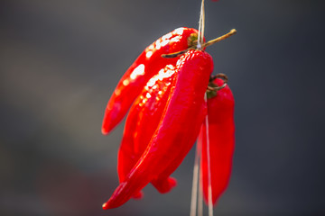 紅辣椒