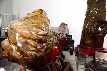 金絲楠木