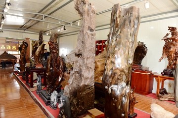 金絲楠木