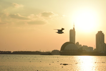 日落晚景