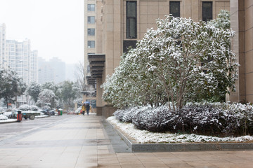 江南雪景