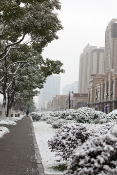 雪景