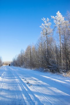 冰雪森林道路