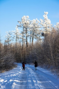 冬季冰雪森林道路