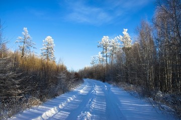 森林积雪道路