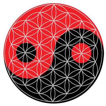 太極八卦生命之花
