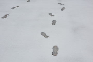 雪 雪景 白雪上的脚印 雪地上